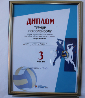 Турнир по волейболу 2022 года